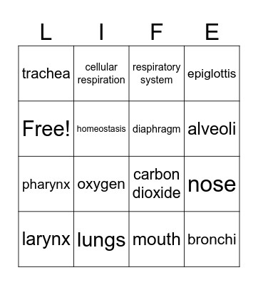 Respiratory System Gimkit Bingo Card