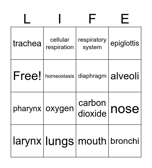 Respiratory System Gimkit Bingo Card