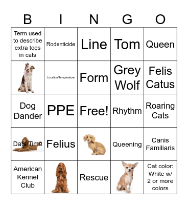 Freshman Ag Class Review Bingo Card