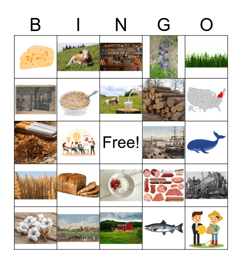 Resources in the 13 Colonies Bingo Card