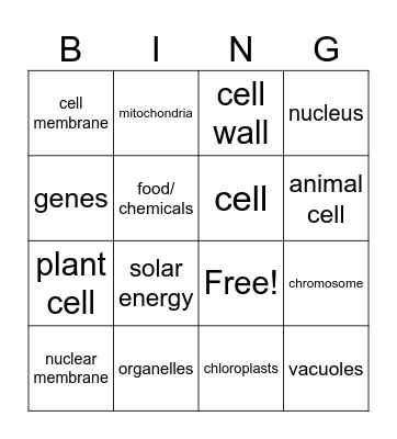 Cell BINGO Card