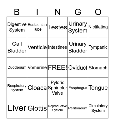 Frog Bingo Card