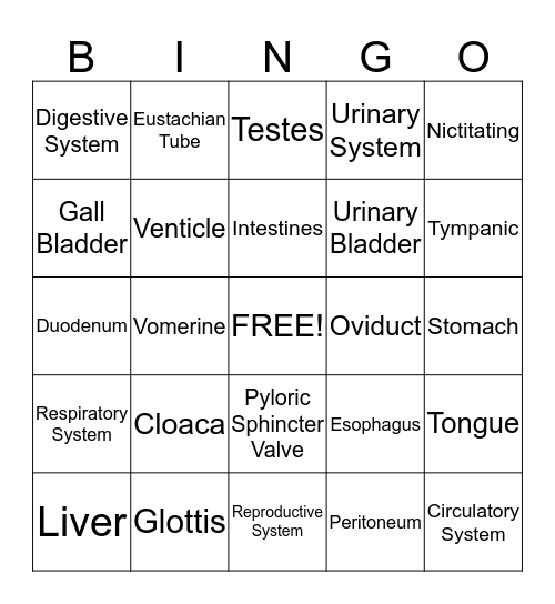 Frog Bingo Card