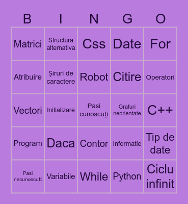 Informatică Bingo Card