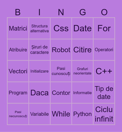 Informatică Bingo Card
