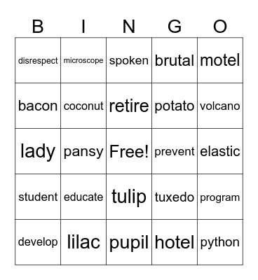 Open Syllable Words Bingo Card