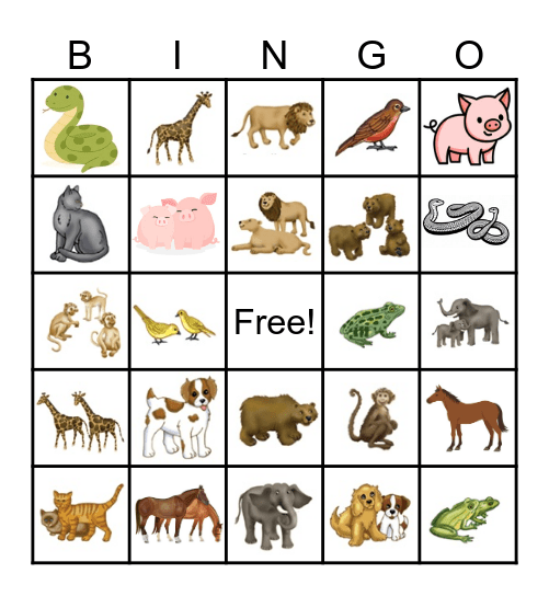 Animals, singular and plural Bingo Card