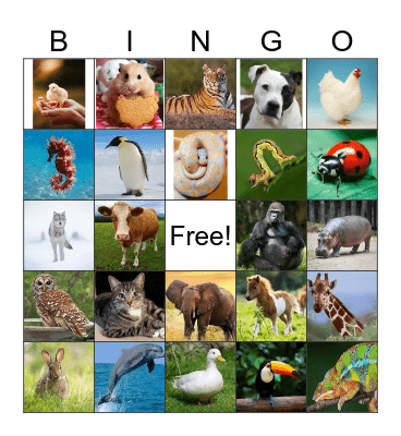 Animal Bingo Card