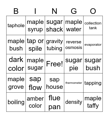 Maple Syrup Vocabulary Bingo Card