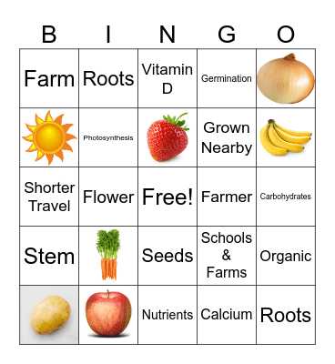 Farm to School Bingo Card