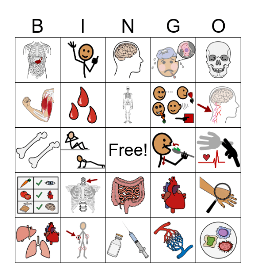 Knowledge 2: The Human Body Bingo Card