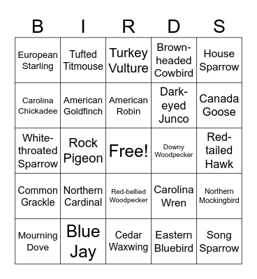 AWSOM Birds Bingo Card