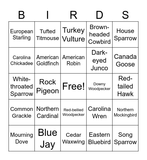 AWSOM Birds Bingo Card