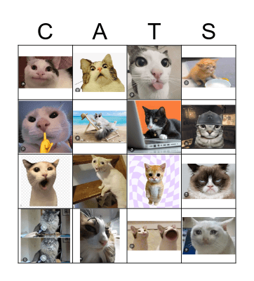 Cat Bingo Card