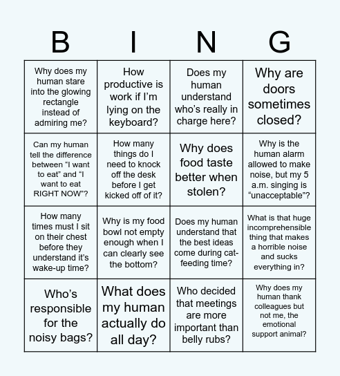 Cat's Questions Bingo Card