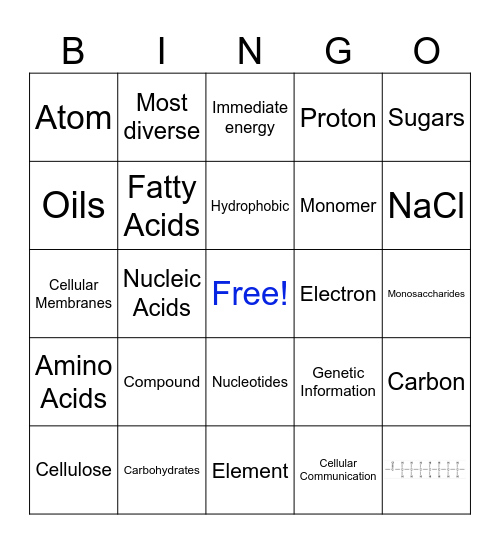 Macromolecule Bingo Card