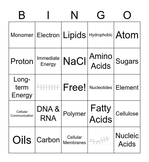 Macromolecule Bingo Card