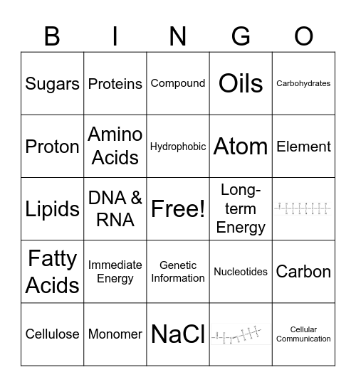 Macromolecule Bingo Card