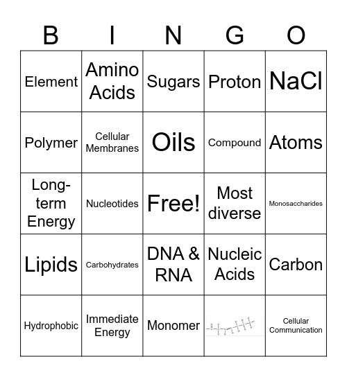 Macromolecule Bingo Card