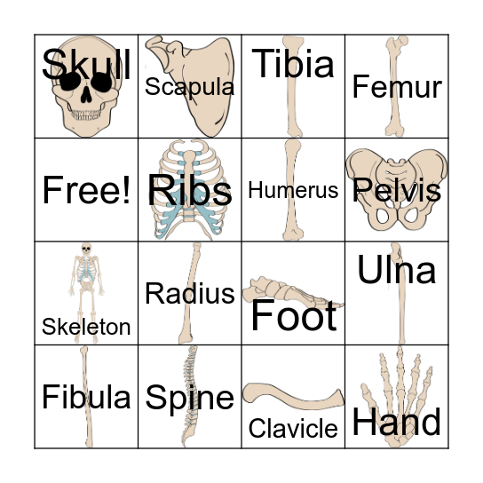 Bones Bingo Card