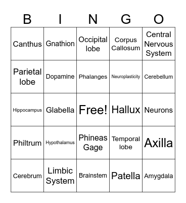 Brain Bingo Card