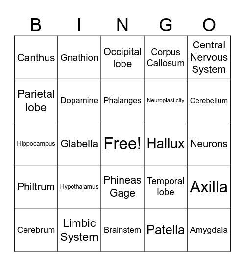 Brain Bingo Card