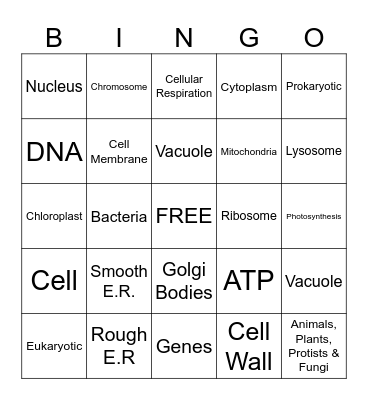 Organelles!! Bingo Card