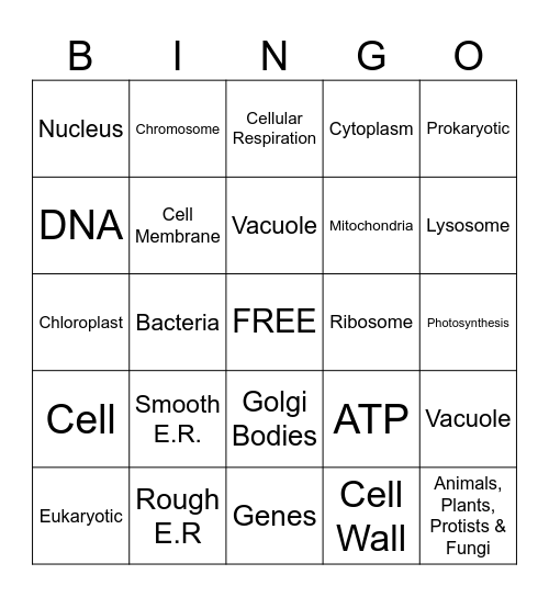 Organelles!! Bingo Card