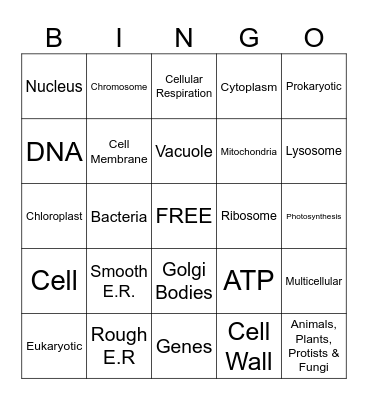 Organelles!! Bingo Card