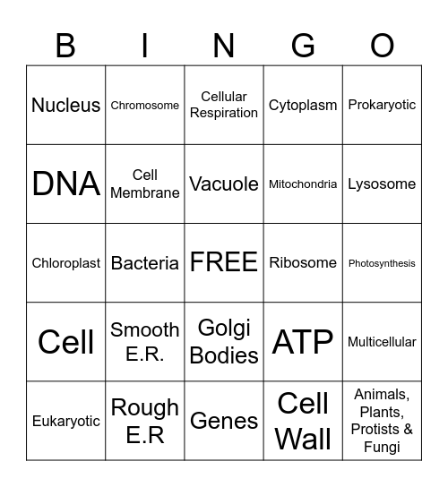 Organelles!! Bingo Card