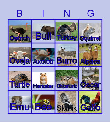 Los Animales de la Granja Bingo Card