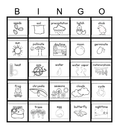 Cycles in Nature Bingo Card