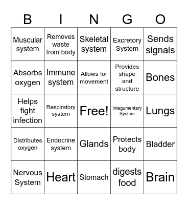 Body System BINGO Card