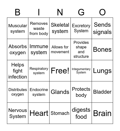 Body System BINGO Card