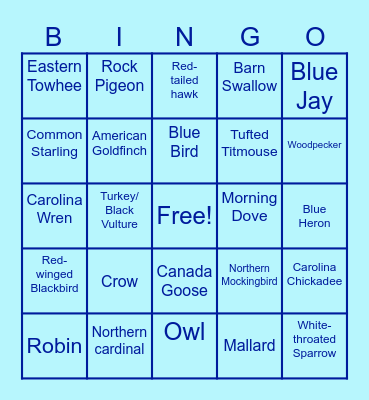 DRRK Bird Bingo! Bingo Card