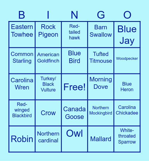 DRRK Bird Bingo! Bingo Card