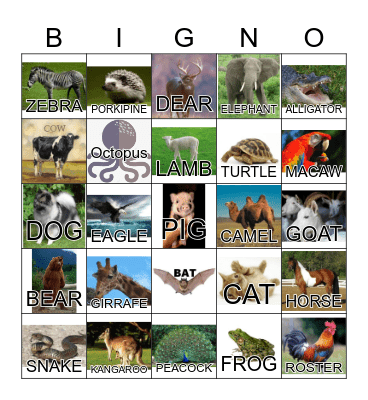 ANIMAL Bingo Card
