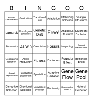Evolution Bingo Card