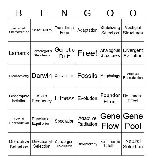 Evolution Bingo Card