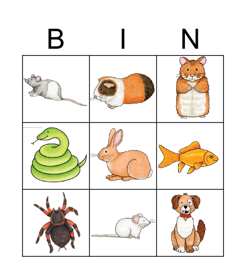 Pets Bingo Card