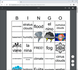 Example of 1 bingo card per page