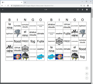 Example of 2 bingo cards per page